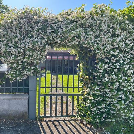 Garda Art&Garden Villa Volta Mantovana Exterior foto