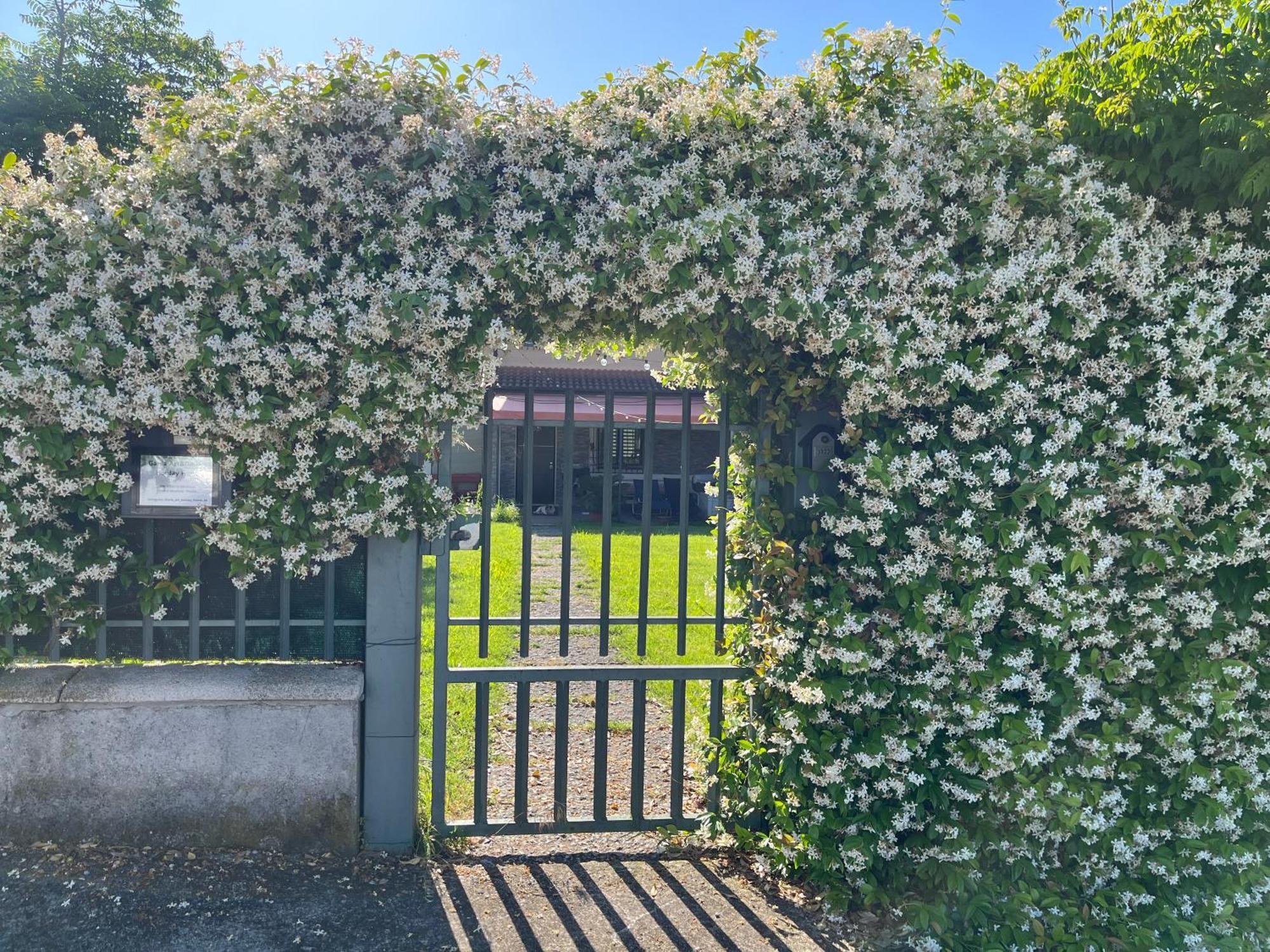Garda Art&Garden Villa Volta Mantovana Exterior foto