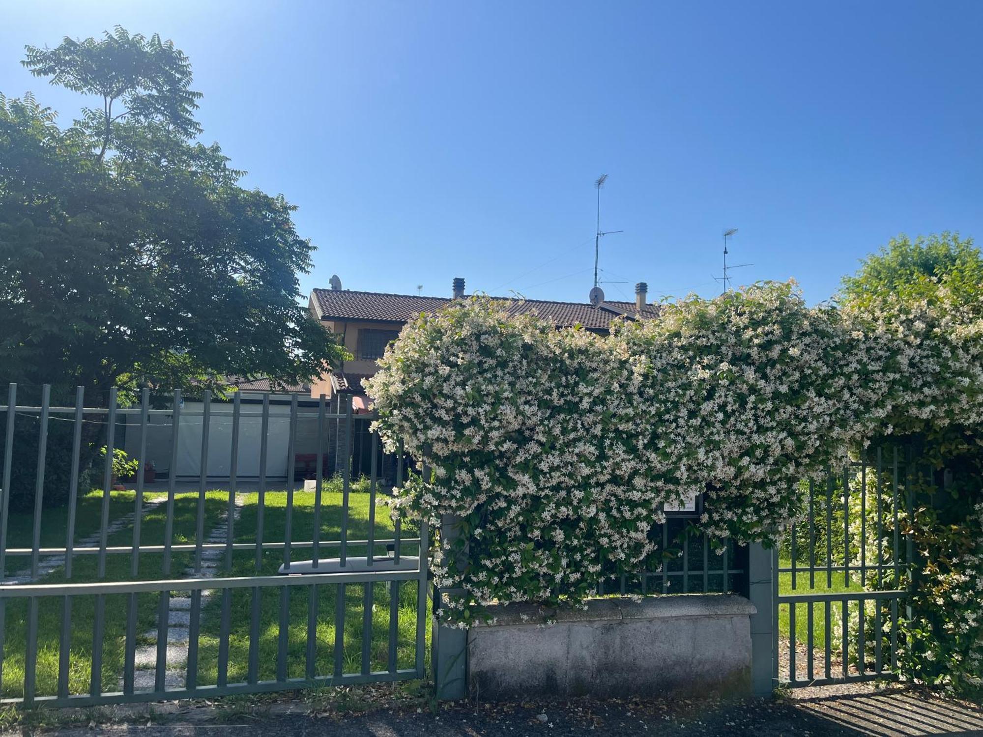 Garda Art&Garden Villa Volta Mantovana Exterior foto